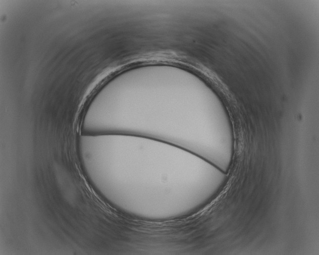 X0000084521224200703091553