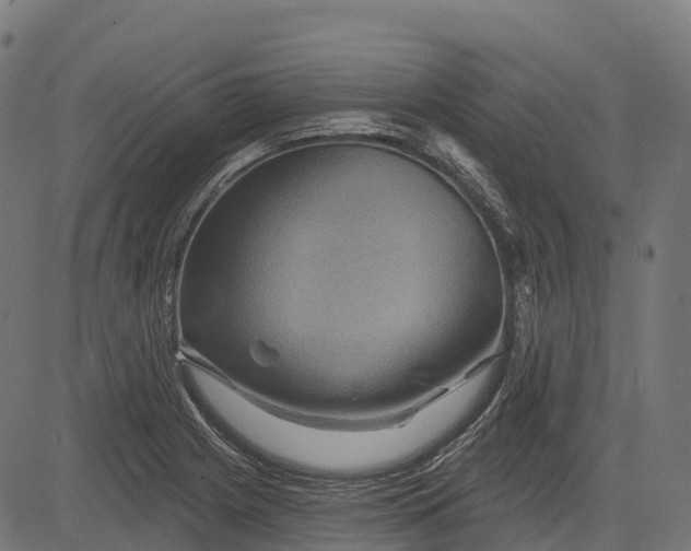 X0000084521225200703091553