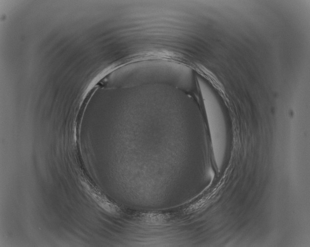 X0000084521226200703091553