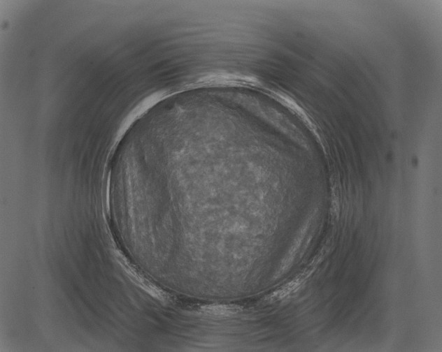 X0000084521227200703091553