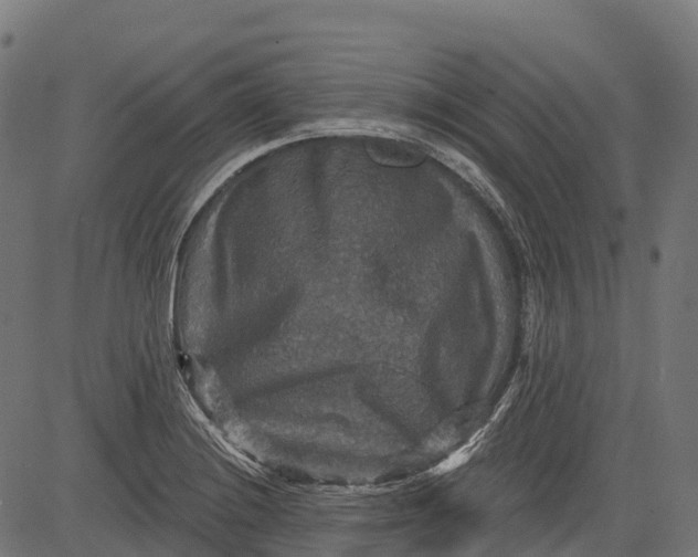 X0000084521228200703091553