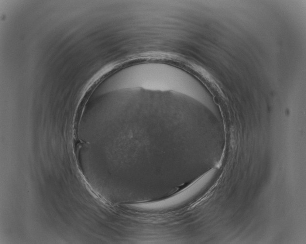 X0000084521229200703091553