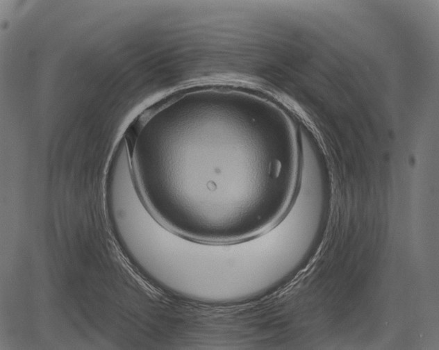 X0000084521230200703091553