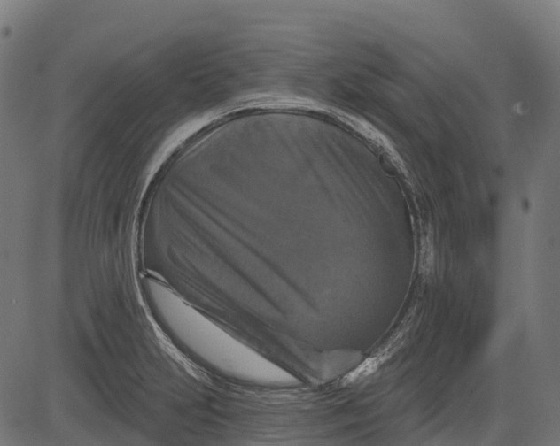 X0000084521231200703091553