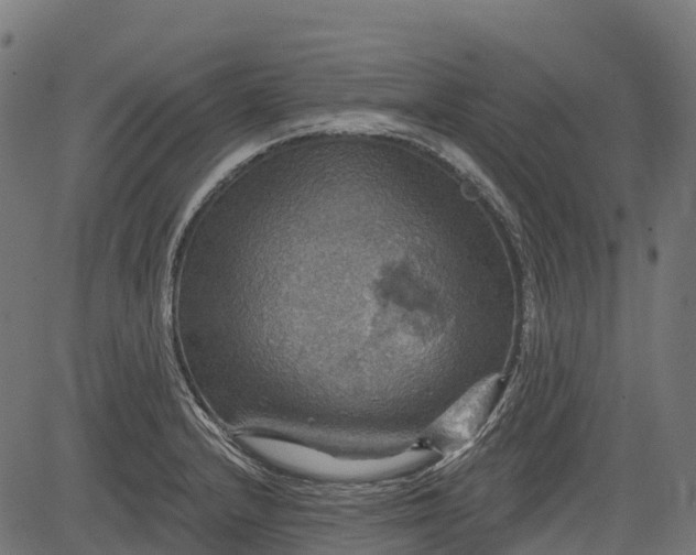 X0000084521232200703091553