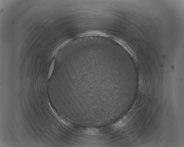 X0000084521233200703091553