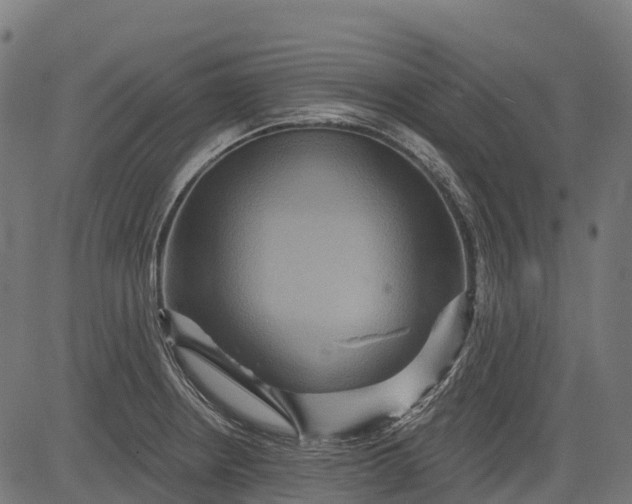 X0000084521234200703091553