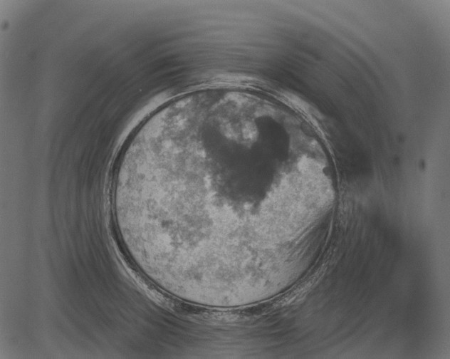 X0000084521235200703091553