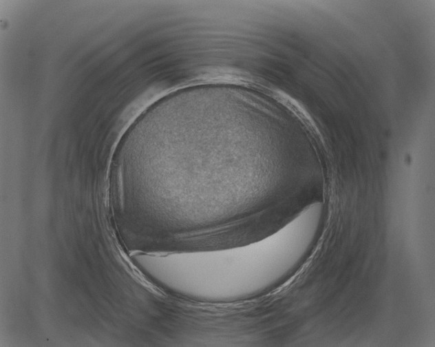 X0000084521236200703091553