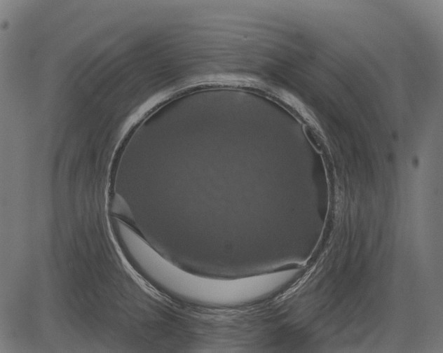 X0000084521237200703091553