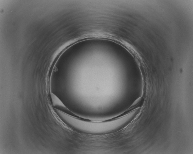 X0000084521238200703091554