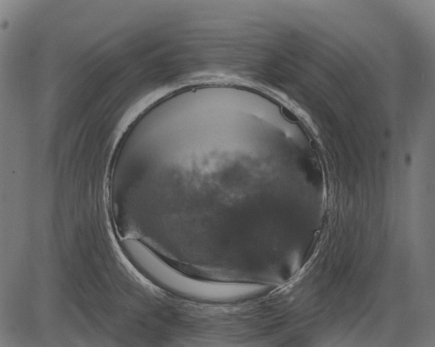 X0000084521239200703091554