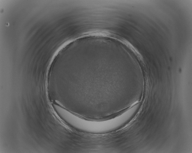 X0000084521240200703091554