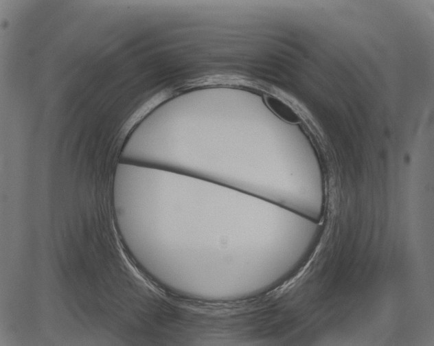 X0000084521241200703091554