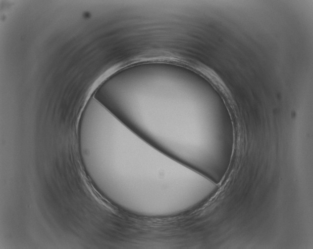 X0000084521242200703091554