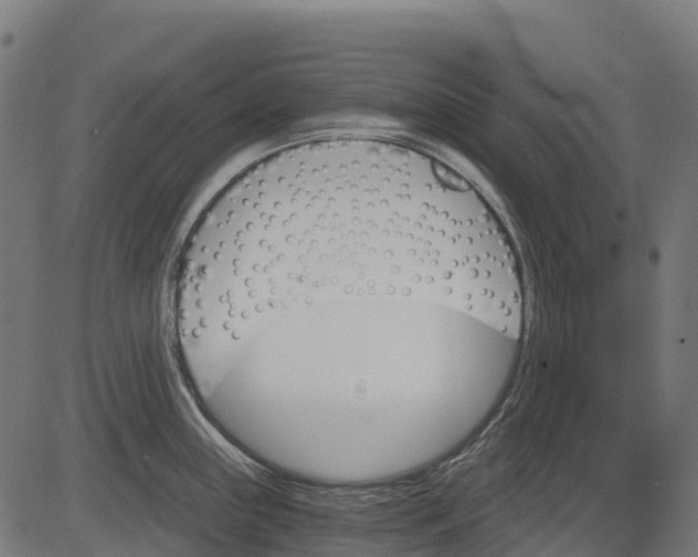 X0000084521243200703091554