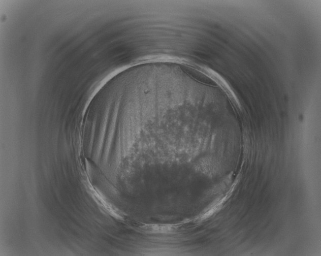 X0000084521244200703091554