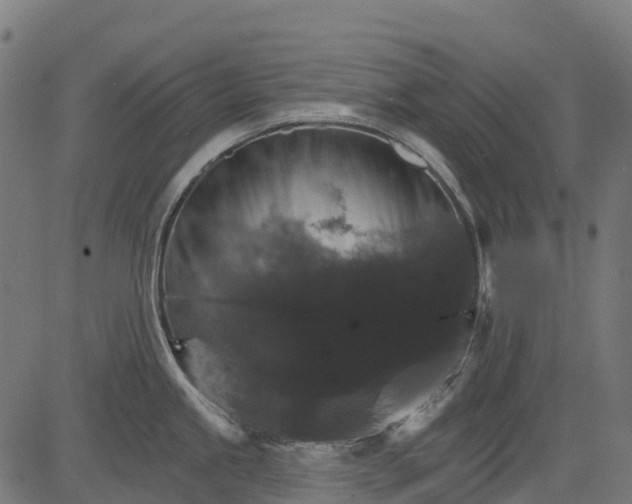 X0000084521245200703091554