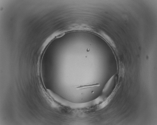 X0000084521246200703091554