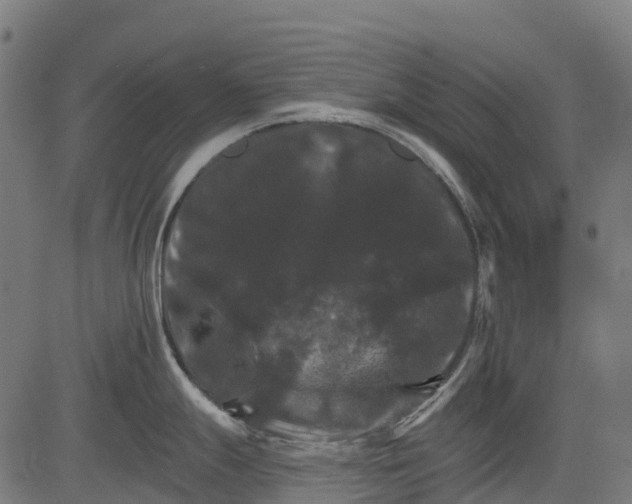 X0000084521247200703091554