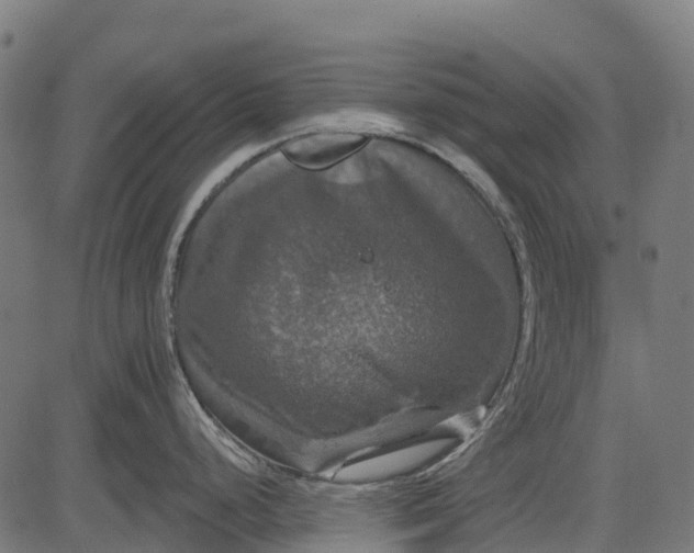 X0000084521248200703091554