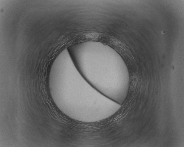 X0000084521249200703091553