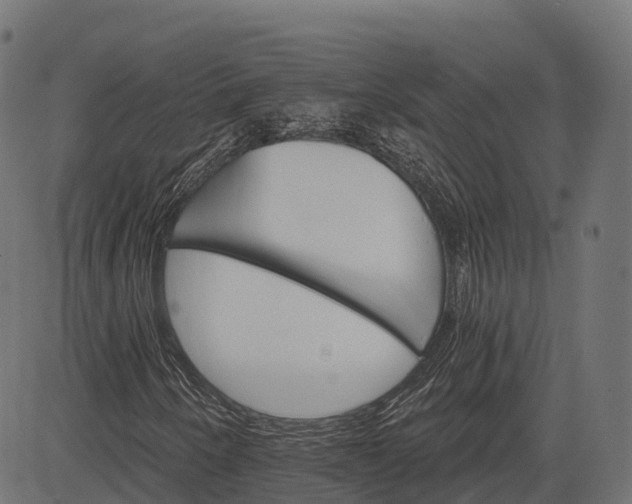 X0000084521250200703091553