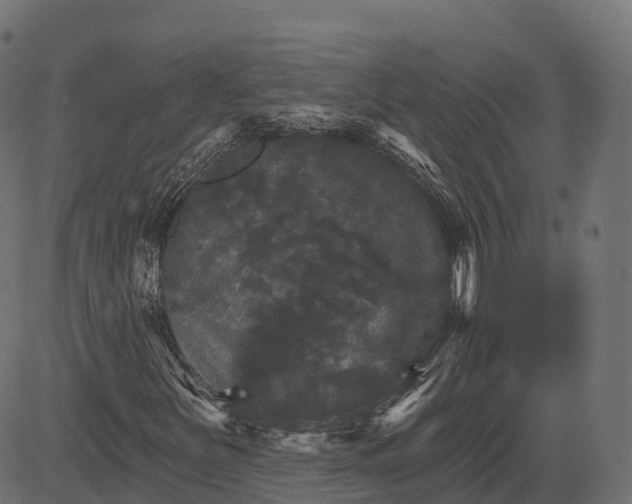 X0000084521251200703091553