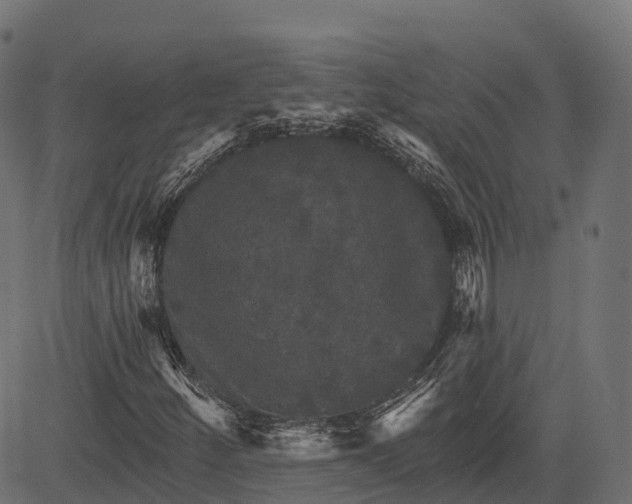 X0000084521252200703091553