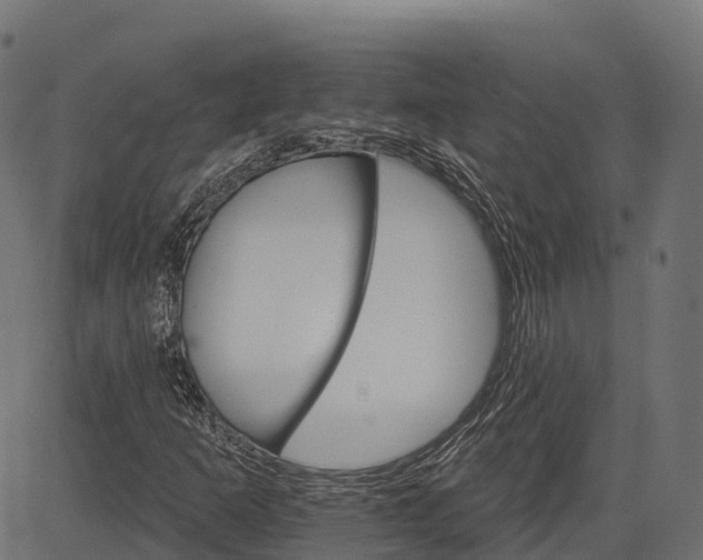 X0000084521253200703091553