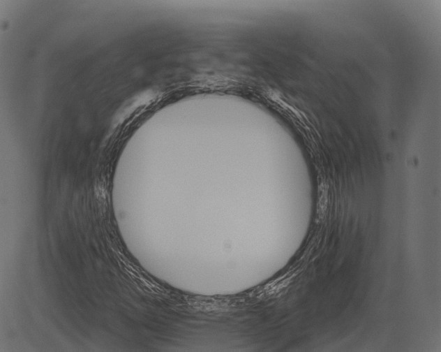 X0000084521254200703091553