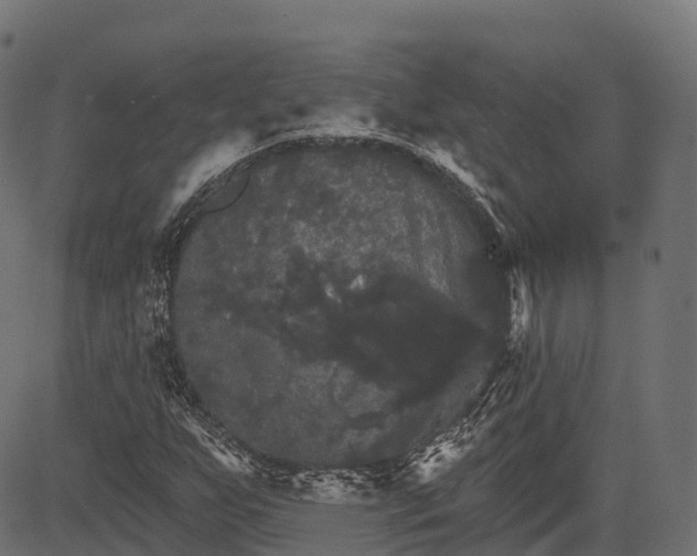 X0000084521255200703091553