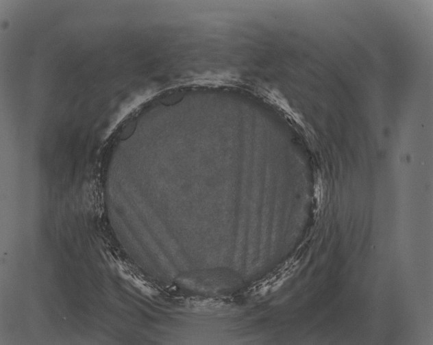 X0000084521256200703091553