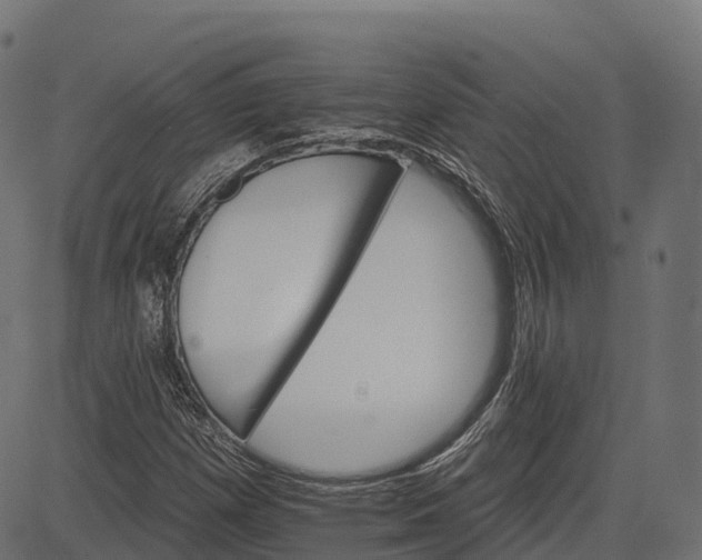 X0000084521257200703091553