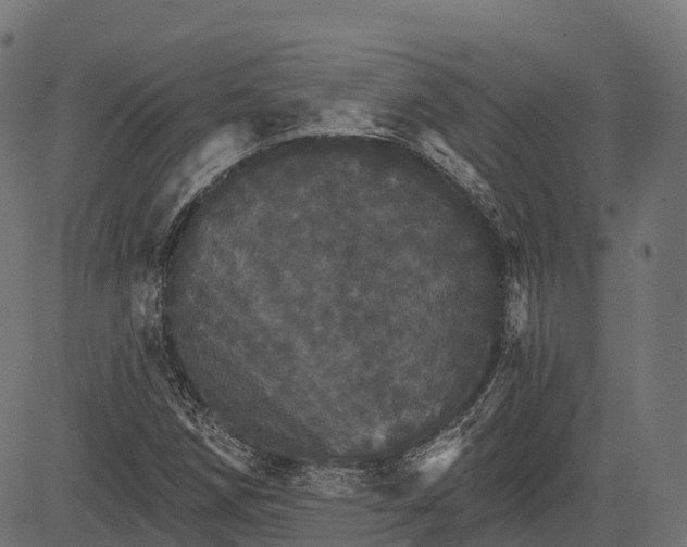 X0000084521258200703091553