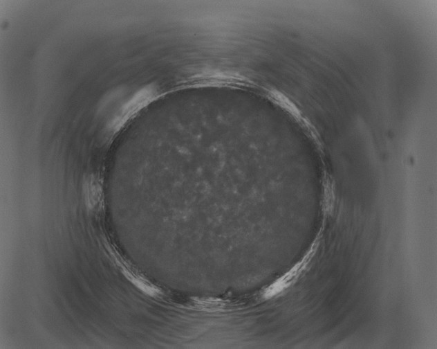 X0000084521259200703091553