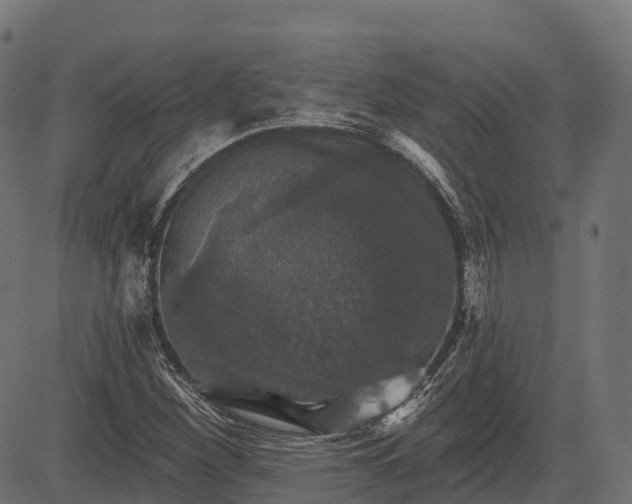 X0000084521260200703091553