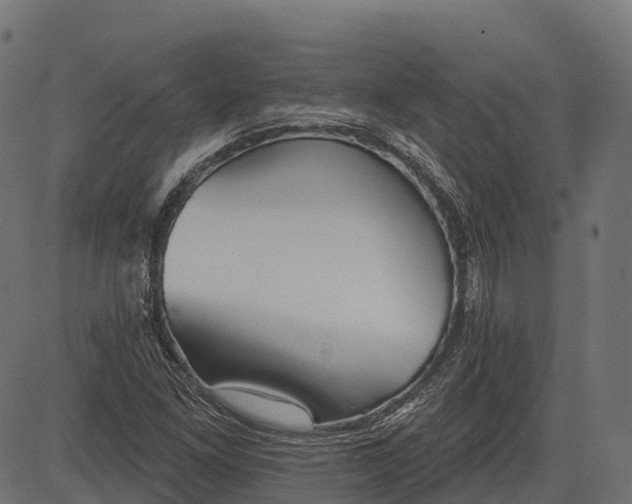 X0000084521261200703091553