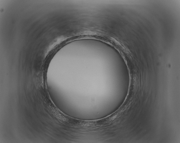 X0000084521262200703091553