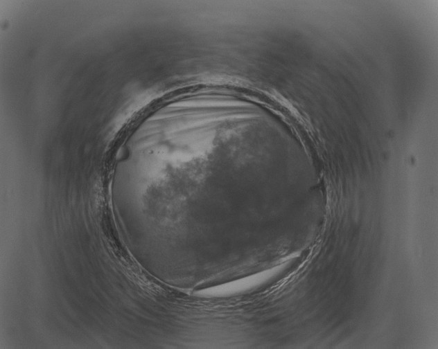 X0000084521263200703091553