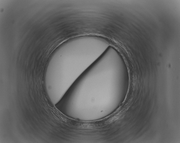 X0000084521265200703091553