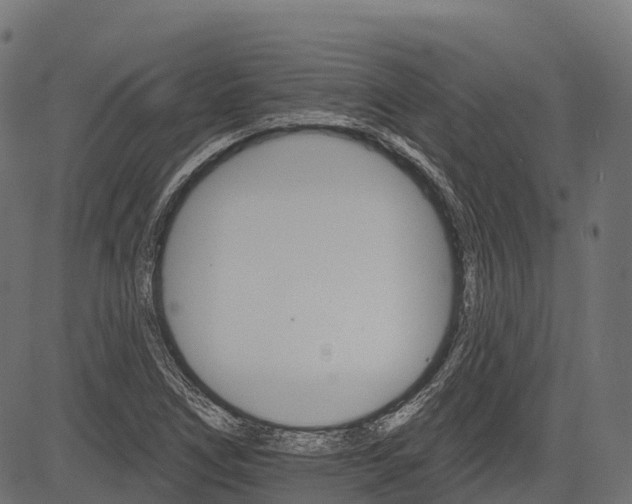 X0000084521266200703091553