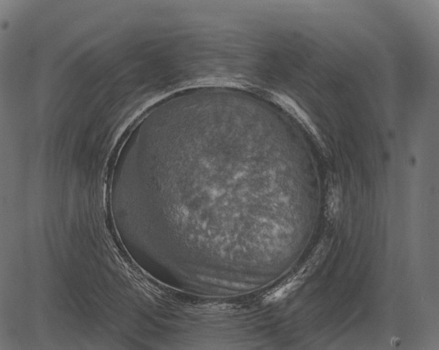 X0000084521268200703091553