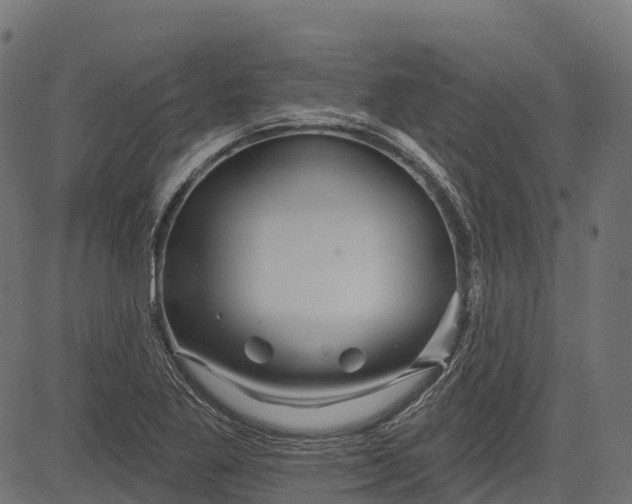 X0000084521269200703091553