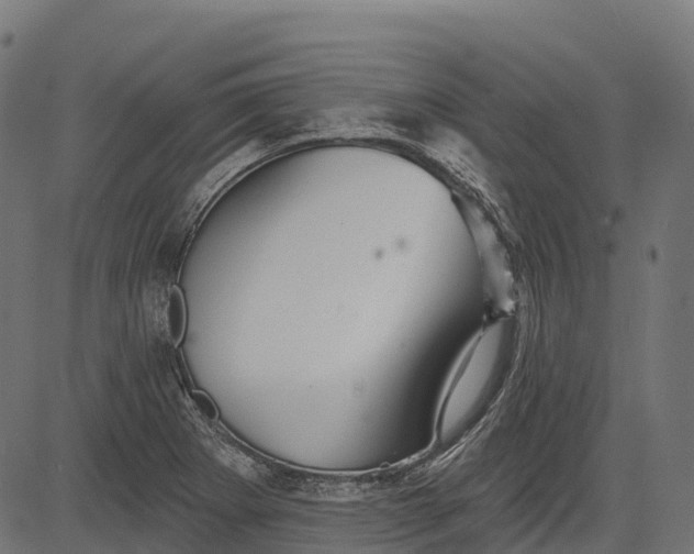 X0000084521273200703091552