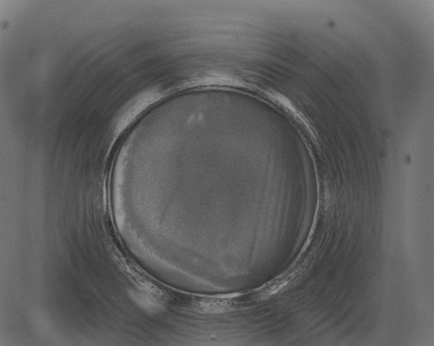 X0000084521274200703091552