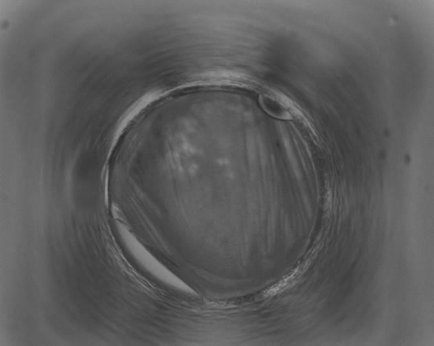 X0000084521275200703091552