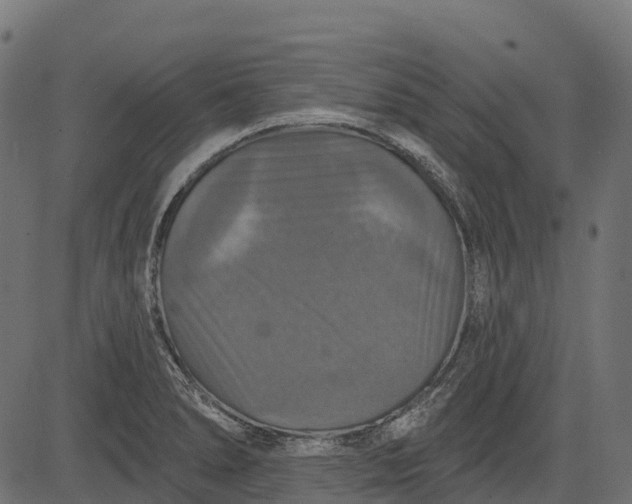 X0000084521278200703091552