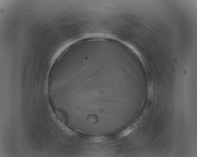 X0000084521279200703091552