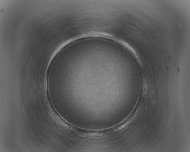 X0000084521280200703091552